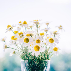 色爱区区域综合网
